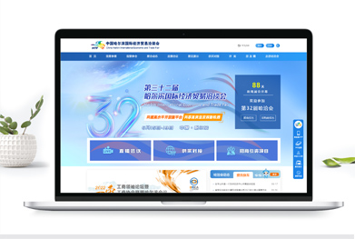 网站设计开发