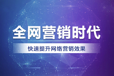 网络营销服务